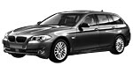 BMW F11 C209C Fault Code